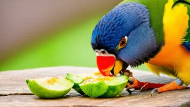 Muhabbet Kuşum Ağzını açıp Kapatıyor Ne Yapmalıyım