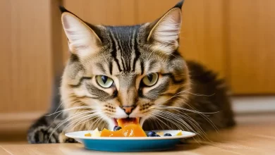 Whiskas Kedi Maması Zararlı Mı