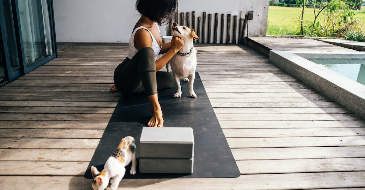 Alanlar,-Evcil-Hayvanlar,-Ev,-Tasarım,-İlgilenme -628.jpeg