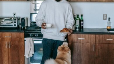 Evcil Hayvan hakkında bir görsel