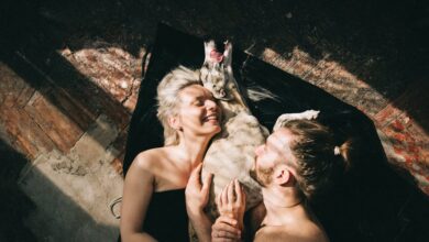 Evcil Hayvan hakkında bir görsel