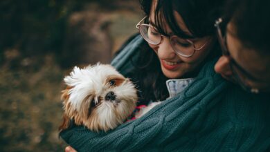 Evcil Hayvan hakkında bir görsel