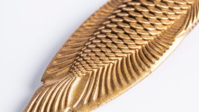 Japon Balığı Cinsiyet Ayrımı hakkında bir görsel