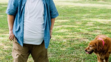 Köpeğe parazit aşısı yapılmazsa ne olur? hakkında bir görsel