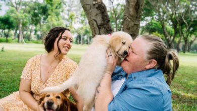 Köpeklerde ön AYAK YAMULMASI hakkında bir görsel