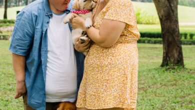 Köpekte iç parazit olduğunu nasıl anlarız? hakkında bir görsel