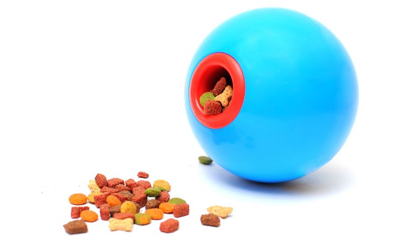 Ball toy for feeding pets