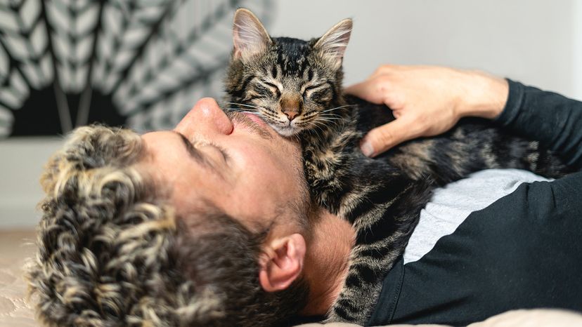 Cat sleeping on human