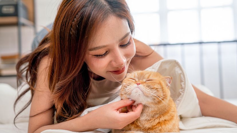 Cat with owner
