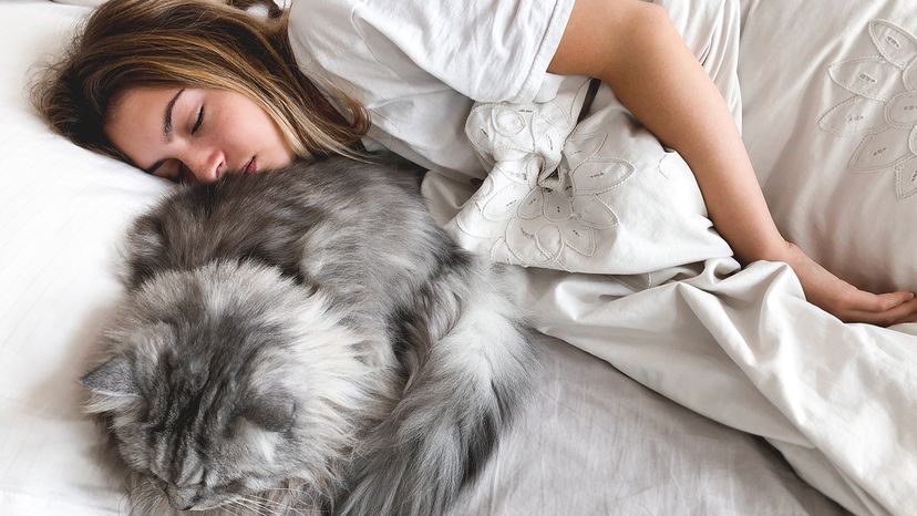 Young girl laying in bed sleeping with her cat