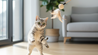 A photorealistic, bright, and airy shot of a playful silver tabby cat in mid-pounce towards a high-quality cat toy