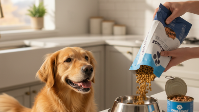 A photorealistic, heartwarming shot of a happy Golden Retriever looking eagerly at its food bowl in a bright, modern kitchen