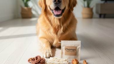 A close-up, photorealistic shot of a happy golden retriever sitting on a clean, light-colored wooden floor in a brightly lit, modern living room