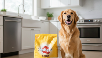 A photorealistic shot of a happy, healthy medium-sized dog, like a Golden Retriever, sitting patiently on a clean wooden floor in a bright, modern kitchen