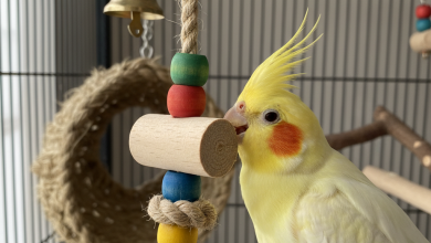 A vibrant, photorealistic close-up shot of a healthy, cheerful cockatiel interacting with a colorful wooden toy inside its clean, spacious cage