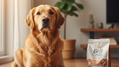 A photorealistic shot of a healthy, happy adult Golden Retriever sitting patiently beside a pristine white ceramic bowl filled with high-quality kibble