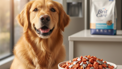 A stunning, photorealistic shot of a vibrant Golden Retriever with a glossy coat, sitting attentively next to a sleek, white ceramic bowl filled with salmon and herring kibble