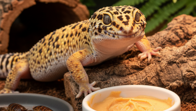 A photorealistic macro shot of a vibrant, healthy Leopard Gecko inside a beautifully designed, naturalistic terrarium