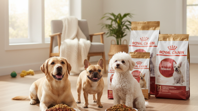 A beautifully composed, photorealistic shot capturing the essence of premium pet nutrition