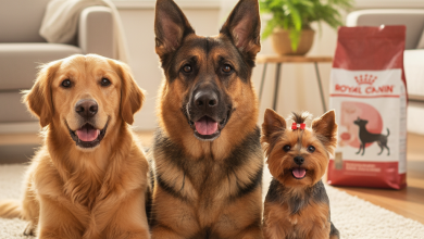 A photorealistic and heartwarming image of three different adult dogs—a majestic Golden Retriever, a loyal German Shepherd, and a tiny, cheerful Yorkshire Terrier—posing together in a bright, sun-d...