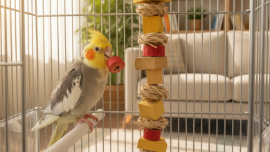 A photorealistic, close-up shot of a healthy and vibrant cockatiel perched inside a clean, modern birdcage