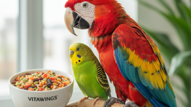 A photorealistic, vibrant shot capturing a healthy Scarlet Macaw and a smaller, bright green budgerigar side-by-side